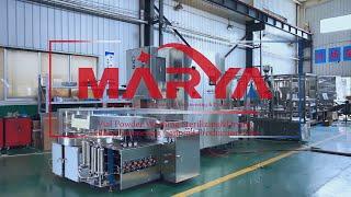 Vial Powder Filling Machine Line|China Injection Dry Powder Filling Production Line Manufacturer