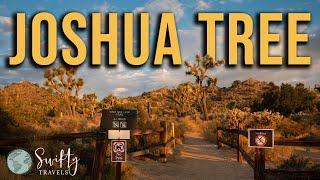 Visiting Joshua Tree National Park:  Helpful Tips + Campground Info