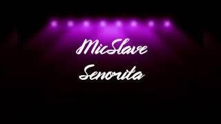 MicSlave // Senorita