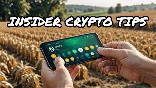 Crypto Farming Success: Airdrop Insider Tips