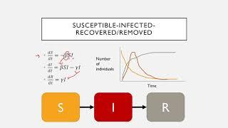 An Introduction to Disease Modeling: Understanding COVID-19 Means Understanding Disease Modeling