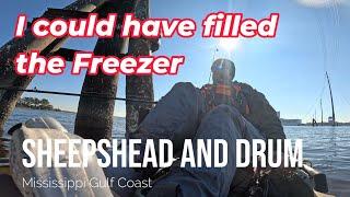 Kayak Fishing Frenzy: Winter Black Drum & Sheepshead Slam on the Mississippi Gulf Coast