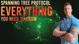 Learn Everything You Need To Know on Spanning Tree Protocol