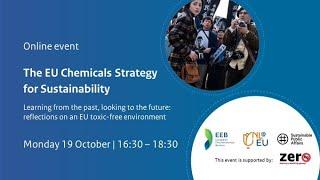 The EU Chemicals Strategy for Sustainability