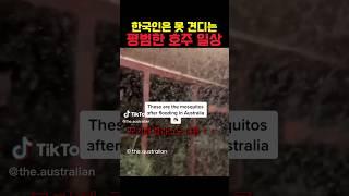 한국인은 못견디는 평범한 호주 일상