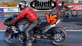 Why the BUELL 1190RX will BEAT the HARLEY DAVIDSON V-ROD & a massive BAGGER Wheelie!