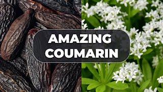 Amazing Coumarin | Nation Health | Lisa King RPh