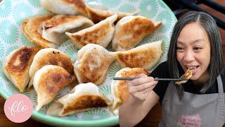 Pan Fried Chicken Dumplings  Potsticker Step-by-Step