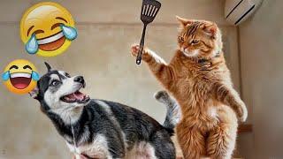 You Laugh You LoseFunniest Dogs and Cats 2024