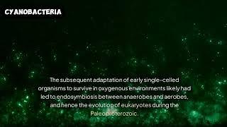 cyanobacteria| history haven