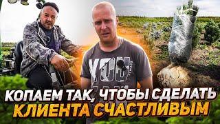 🪴Секрет ИДЕАЛЬНОГО КОМА (о котором забывают питомники растений)