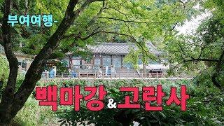 윈디여행 - 부여백마강/ 고란사/ 구드래/ 고란초