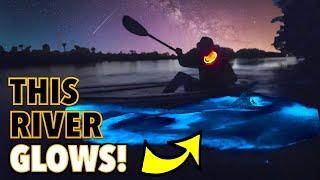 A GLOW IN THE DARK RIVER! NIGHT KAYAKING THE BIOLUMINESCENCE INDIAN LAGOON MERRITT ISLAND FLORIDA 