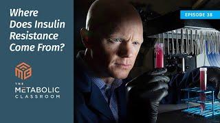 38: Where Insulin Resistance Comes From with Dr. Ben Bikman