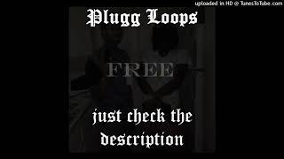 [Free Download] Plugg x Mexikodro Loop Kit