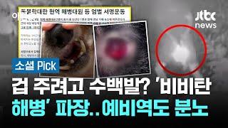 겁 주려고 수백발? '비비탄 해병' 파장…예비역도 분노 #소셜픽 / JTBC 아침&