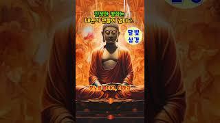 화가 치밀어 오를 때, 현명하게 대처하는 방법 불교 명상법 |  명상 및 마음수련 | 삶의 지혜 |인생 조언 | 부처님 말씀 모음