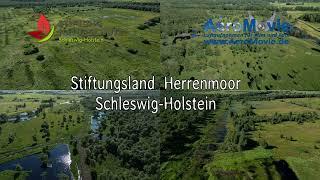 Stiftungsland Herrenmoor Schleswig-Holstein