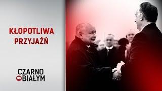 "Kłopotliwa przyjaźń" - reportaż Artura Zakrzewskiego