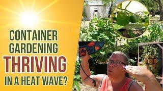 Thriving in the Heat? CONTAINER GARDENING Tips to survive a HEAT Wave!