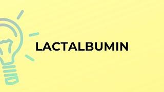 What is the meaning of the word LACTALBUMIN?