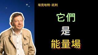 【埃克哈特 托利】 73，思想這種東西，存在一個集體心智，所以許多思想並不真正屬於你自己，它們源自於集體心智。它們是能量場或能量實體，你幾乎可以把它們想象成漂浮在空中的小泡泡。