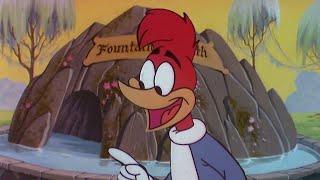 Is that the Fountain of Youth? | 2.5 Hours of Classic Cartoons | Woody Woodpecker