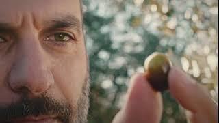 The Filippo Berio Olive Oil Advertisement