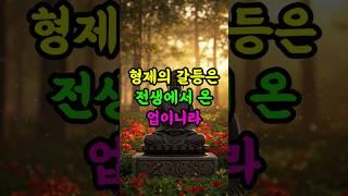 형제와 자주 갈등한다면 전생의 업을 의심하라 #부처님말씀 #형제갈등 #전생업 #인연법 #불교명언
