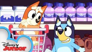 Bluey and Bingo Go Grocery Shopping  | Bluey | Disney Junior