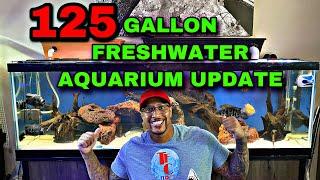 125 GALLON FRESHWATER AQUARIUM UPDATE!! ((How Much Did It Cost))