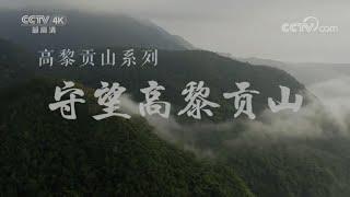 将脱贫致富和生态保护有效结合 高黎贡山生态护林员“富了口袋”《美丽中国自然》高黎贡山系列【CCTV纪录】