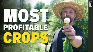 15 MOST PROFITABLE Crops For Small Farms & Market Gardens