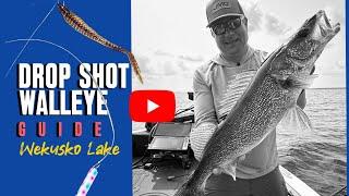 Drop Shot Walleye | Wekusko Lake