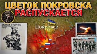 Стремительное Продвижение К Покровску️ ВС РФ Зашли В Сумскую Область️ Военные Сводки За 10.12.2024