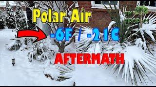 -6F Polar Air Aftermath