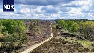 Freie Heide  | Hanseblick | NDR