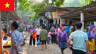Hidden Highland Market of Vietnam | Cinematic Walking Tour at Nam Luc Weekly Fair