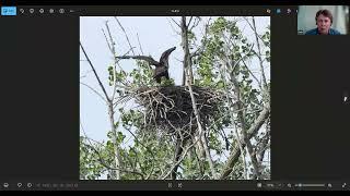 Jackie and Shadow Eagle nest cam fledgling update and Wisconsin  Bald Eagle Nest Watch update.