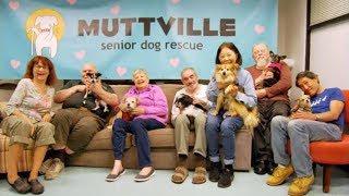 Muttville Senior Dog Rescue's Cuddle Club - Home & Family