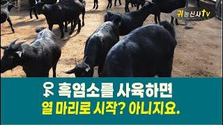 흑염소를 사육하면 04 다섯 마리로 시작, 하지마세요~ 규모사육만 살아남아