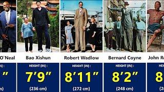 Tallest People in the World - Height Comparison