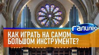 Галилео  Как играть на самом большом музыкальном инструменте?