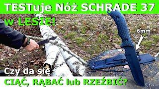 Test NOŻA do bushcraftu i survivalu SCHRADE 37 w lesie! - Jak NÓŻ poradzi sobie z pracą w drewnie?