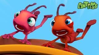 Spa-get-it |  Antiks & Insectibles  | Funny Cartoons for Kids | Moonbug