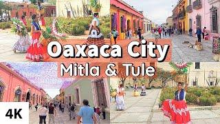 A Tour of OAXACA City / Mitla & Tule / Mexico Travel 2023