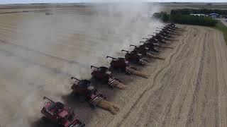 26 Combines - Canadian Foodgrains Bank Canola Harvest 2017 - Killarney