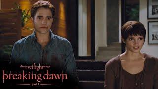 Family | Twilight Saga: Breaking Dawn - Part 1