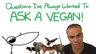 Questions I've Always Wanted To Ask a Vegan (Part 1)