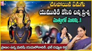 Ramaa Raavi : yamudiki mogudu story | Latest bedtime and moral story | STV Anchor jaya